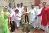 डूंगरपुर नगरपरिषद ने बनाया पीएम नरेंद्र मोदी का जन्मदिन, 72 बालिकाओं के हाथो लगवाये 72 पौधे