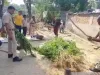 चितरी थाना क्षेत्र के भेमई फला हिण्डोलिया गाँव में दबिश देकर अवैध गांजे की खेती के खिलाफ कार्रवाई की