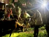 आसपुर के गोल गांव में मंगलवार रात को 50 से अधिक गायों का हुआ टीकाकरण