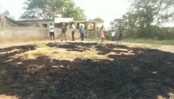 चाडोली गांव में रात को अज्ञात बदमाशों ने मचाया जमकर तांडव, किसानो का हुआ लाखो का नुकसान